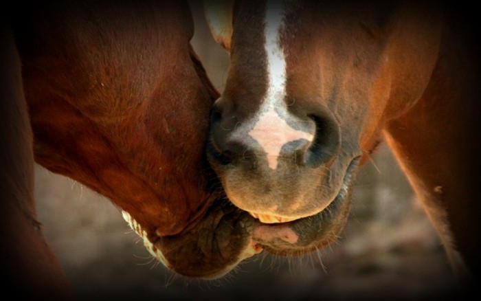 Photo de profil de did_pouci2