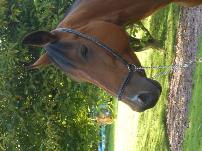 Photo de profil de duee
