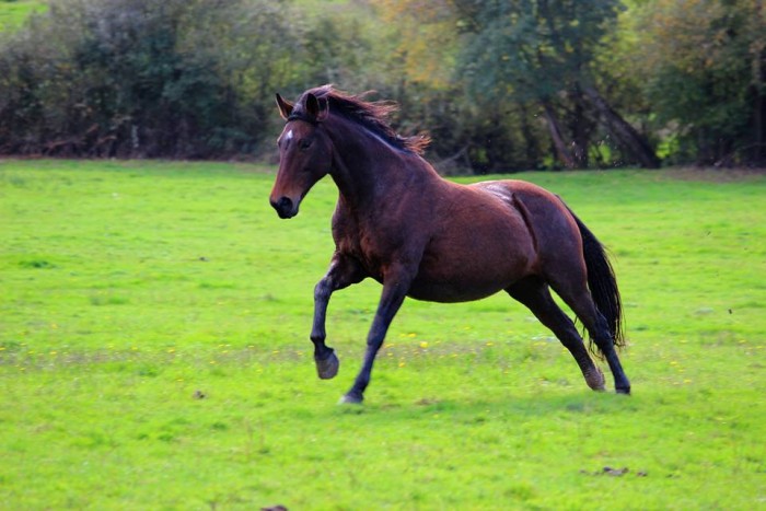 Photo de profil de dupommeray