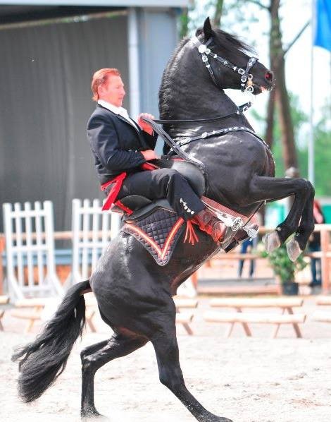 Photo de profil de ecurie.motton