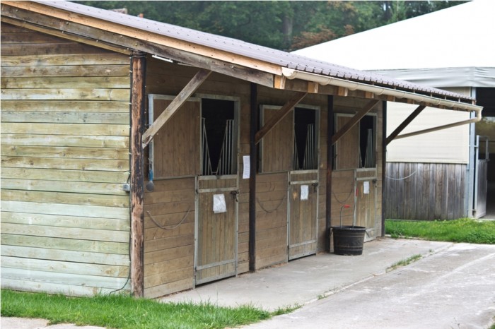 Photo de profil de ecuriesrenoult