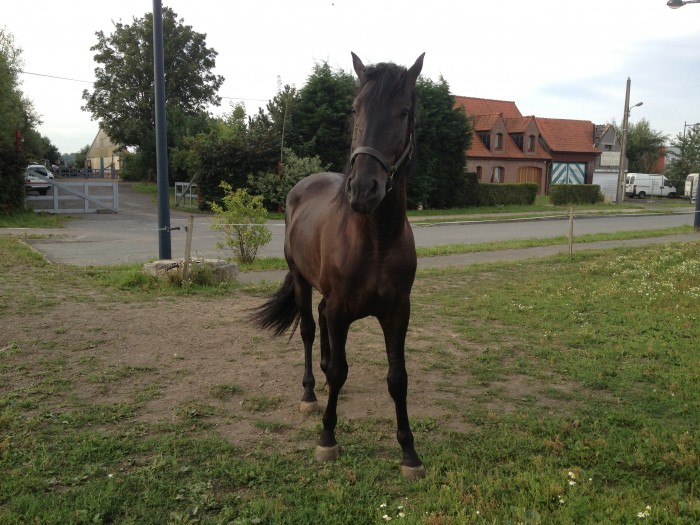 Photo de profil de eleonore2604