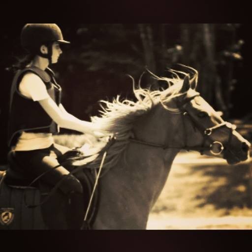 Photo de profil de elisahorselife
