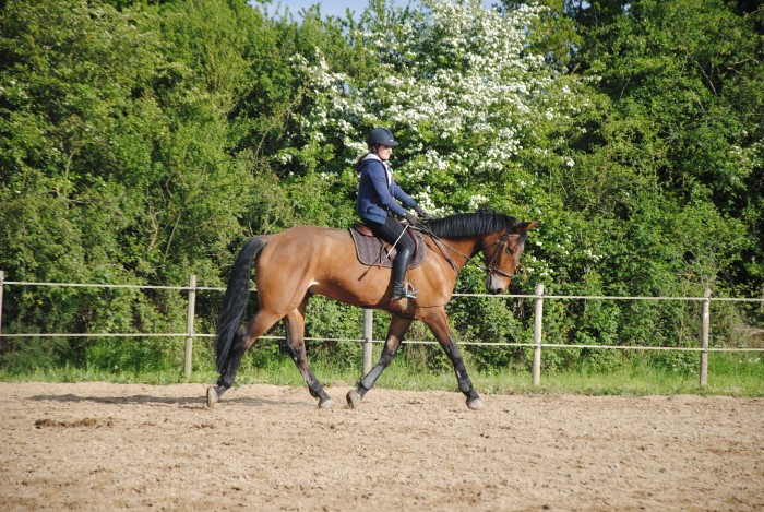 Photo de profil de elise4969