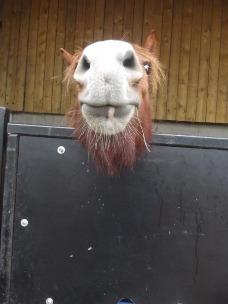 Photo de profil de equitlife62