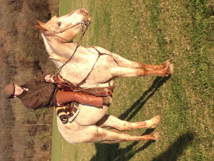 Photo de profil de ericv