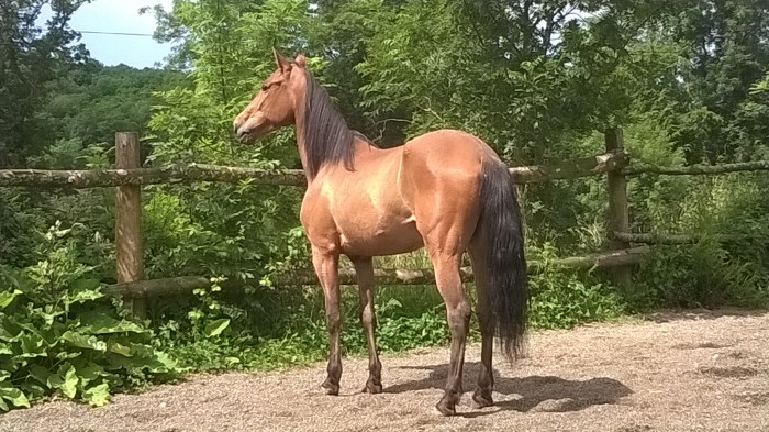 Photo de profil de estellel
