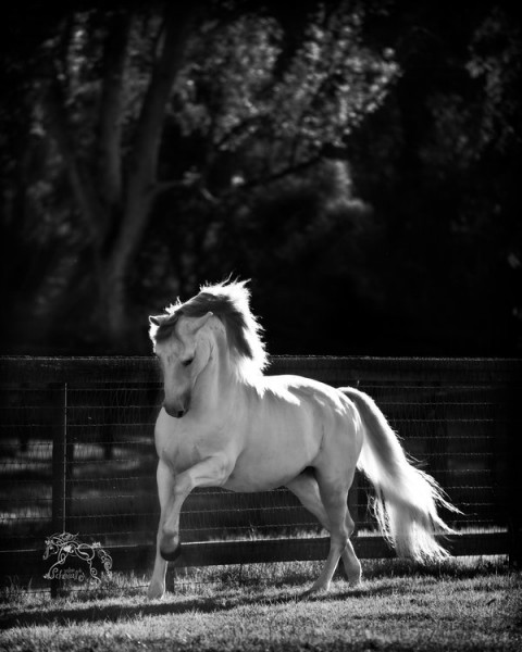 Photo de profil de evounite