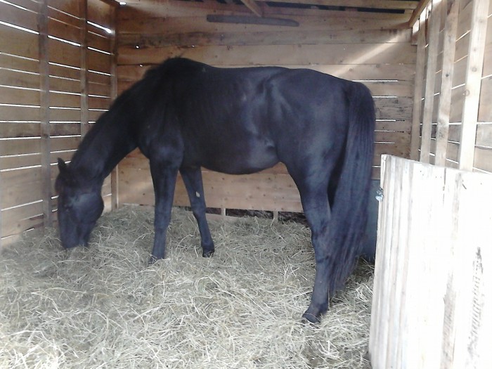 Photo de profil de flora42