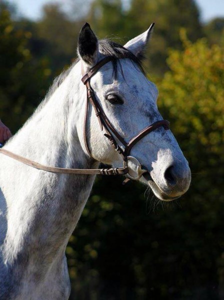 Photo de profil de Freedom41