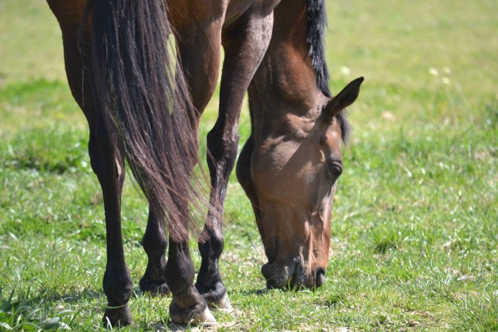 Photo de profil de fudjiderene