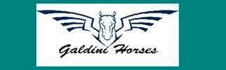 Photo de profil de galdinihorses