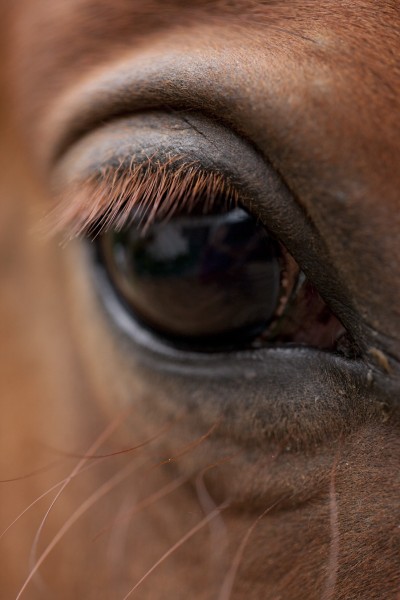 Photo de profil de galice42