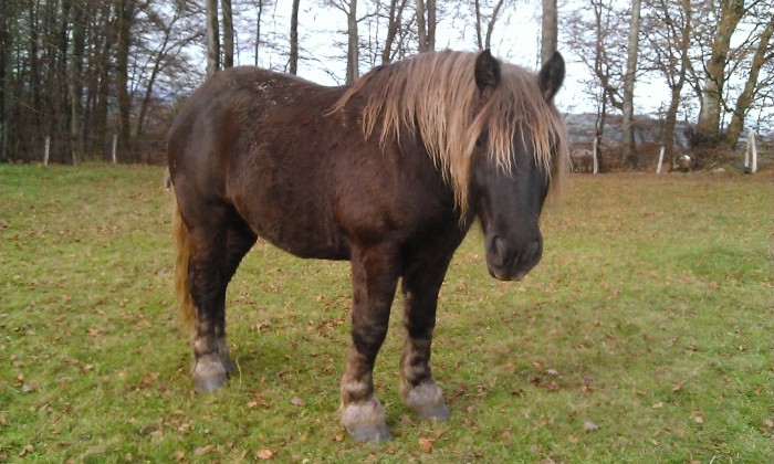 Photo de profil de gally58