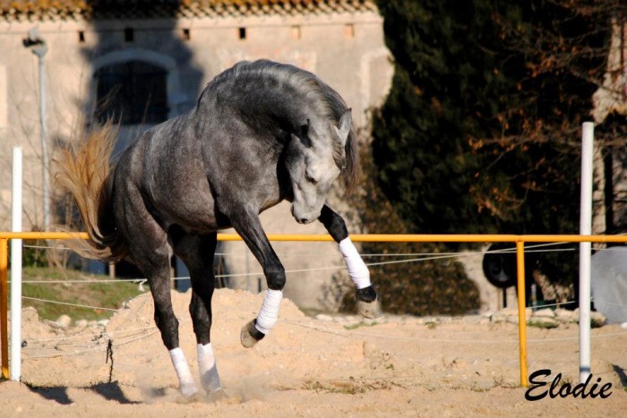 Photo de profil de guapete34