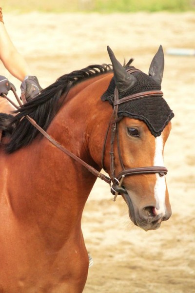 Photo de profil de guyon