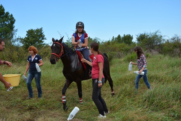 Photo de profil de hagavis38