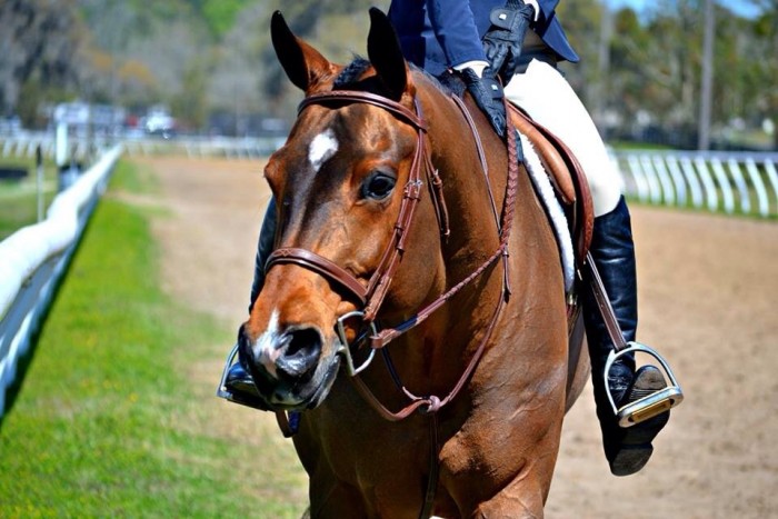 Photo de profil de harmony18