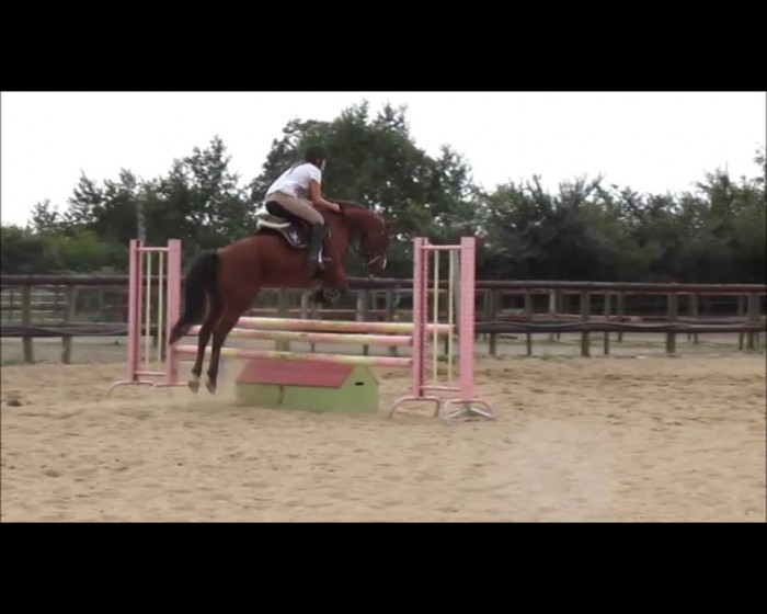 Photo de profil de helenascoty