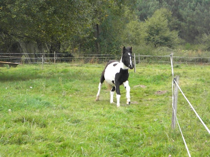 Photo de profil de heleneftc