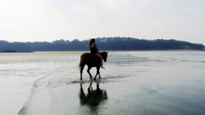 Photo de profil de hollypauline