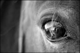 Photo de profil de hvpolofouf