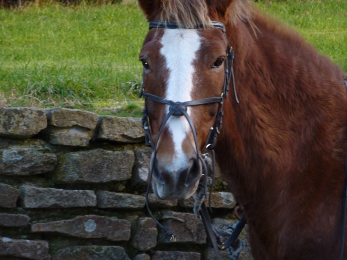 Photo de profil de igloo29