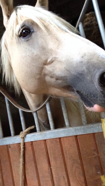 Photo de profil de imac