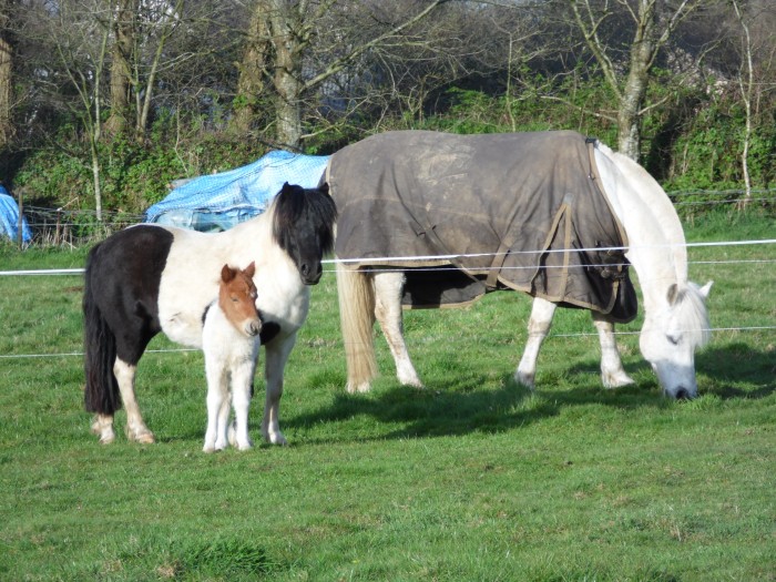 Photo de profil de isa29