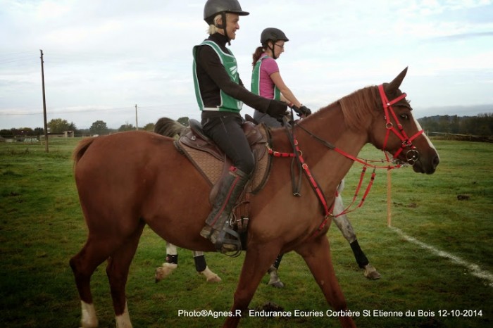 Photo de profil de isava25