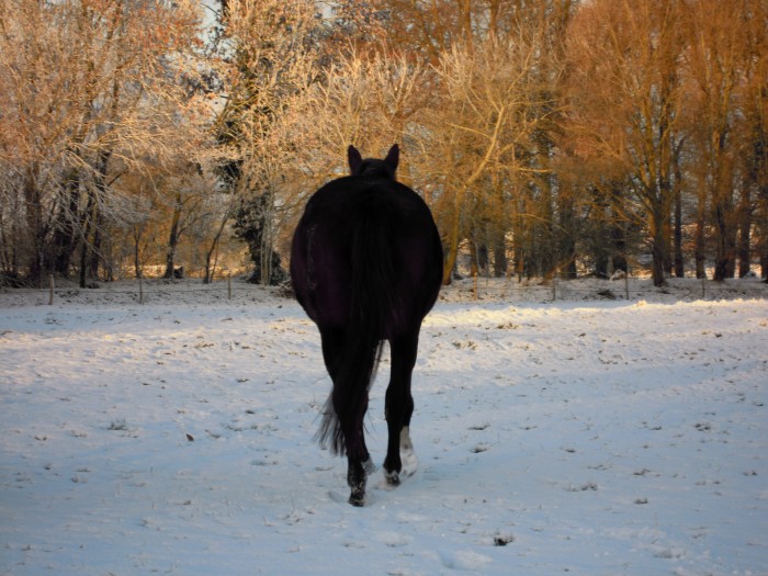 Photo de profil de islaylajo