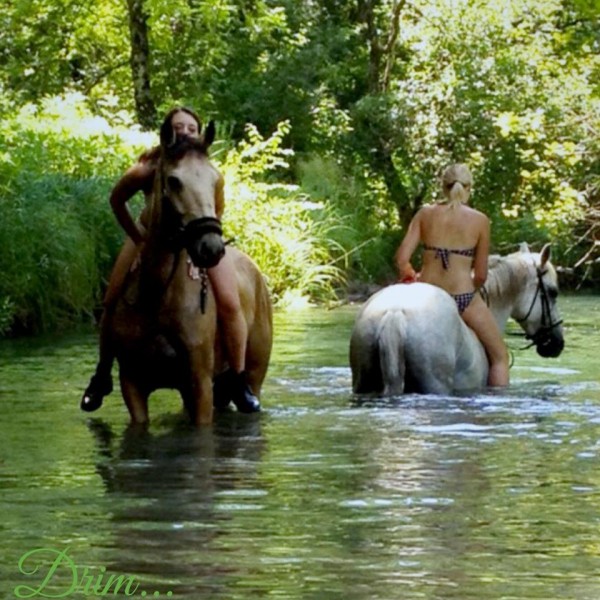 Photo de profil de ivachou