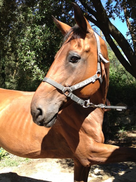 Photo de profil de jackpot06