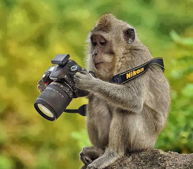 Photo de profil de jeanneerasmus