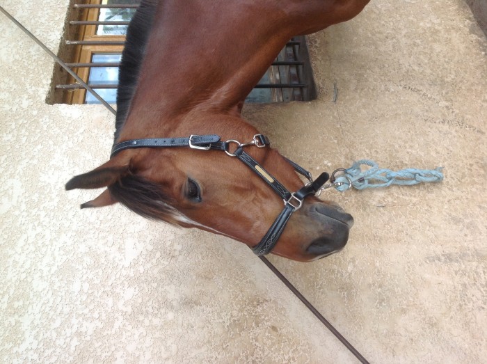 Photo de profil de jeannemonin