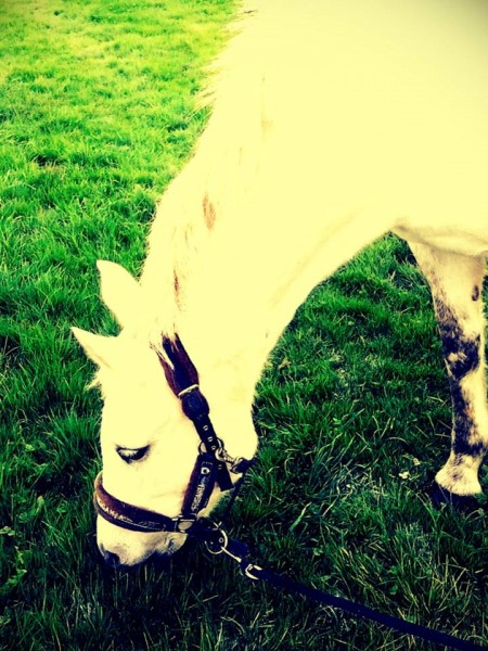 Photo de profil de jedilou