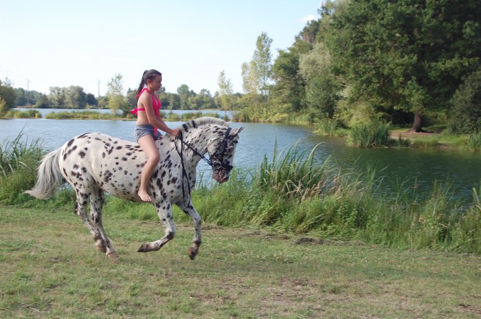 Photo de profil de julialancelot