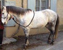 Photo de profil de juliette08