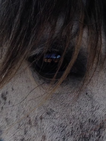 Photo de profil de ka13