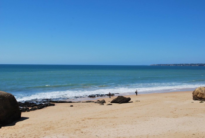 Photo de profil de katepaussie