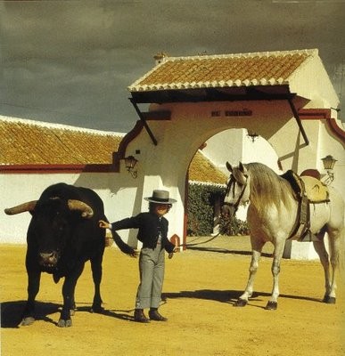 Photo de profil de kesta34