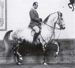 Photo de profil de kiaralm