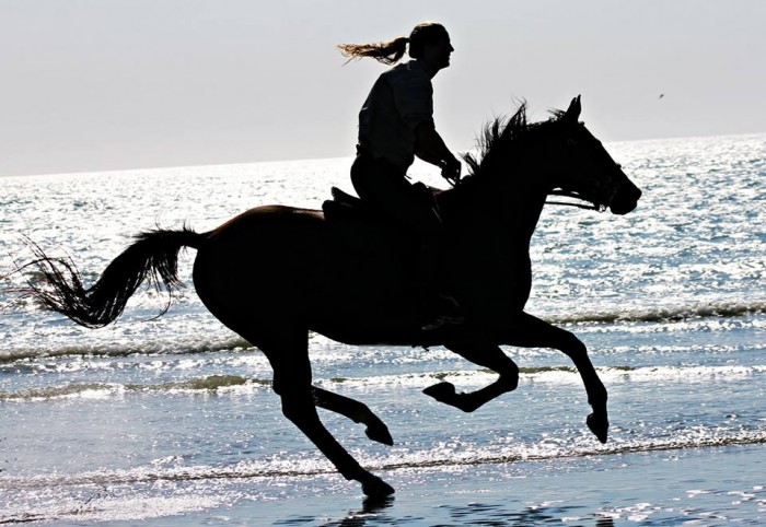 Photo de profil de kiestu