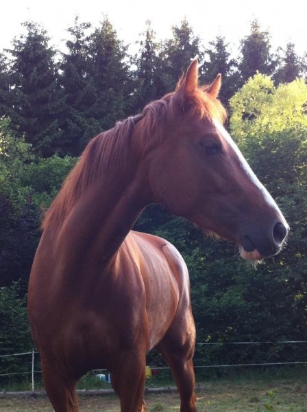 Photo de profil de kookai88100