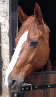 Photo de profil de kracdevence