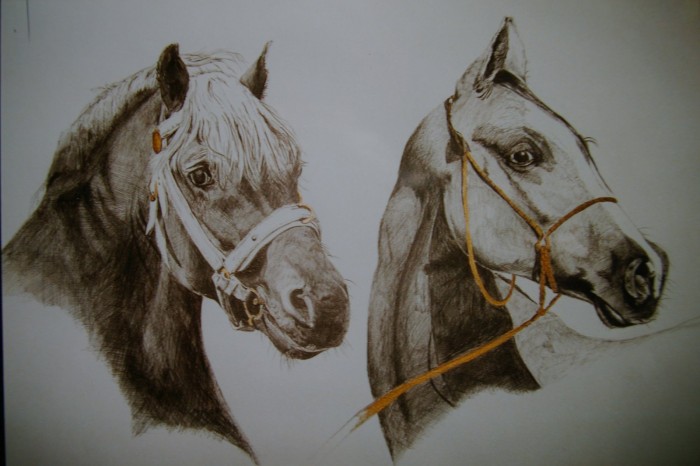 Photo de profil de lacomtessedesfe