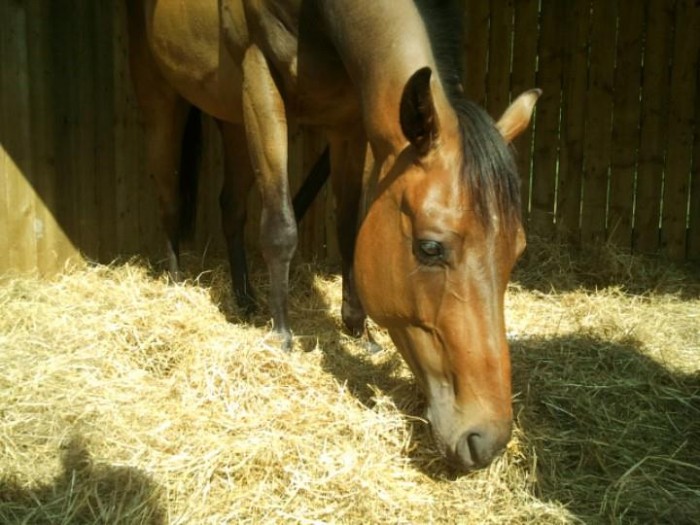 Photo de profil de land57