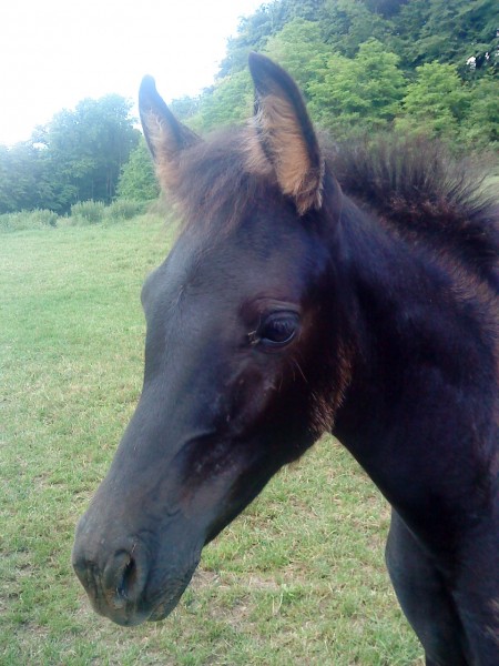 Photo de profil de la_pas_douee