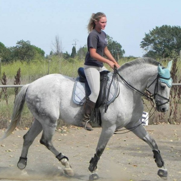 Photo de profil de lauragrimon