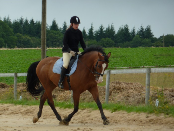 Photo de profil de laureotis